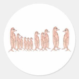 Adesivo Meerkat Family Sticker