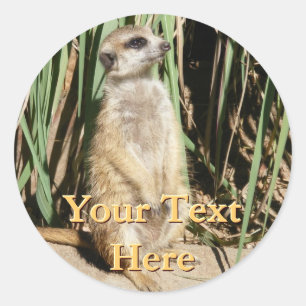 Adesivo Meerkat Stickers