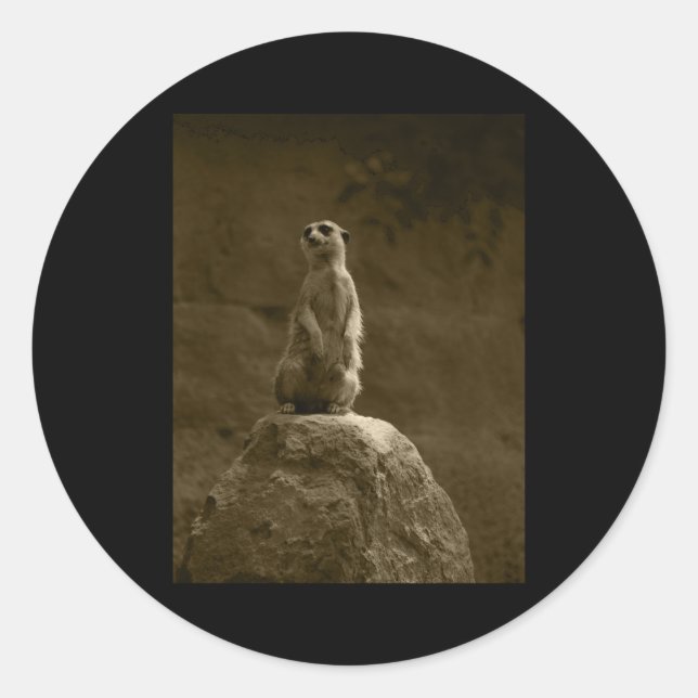 Adesivo Meerkat Valencia Tint Vinheta Vertical (Frente)