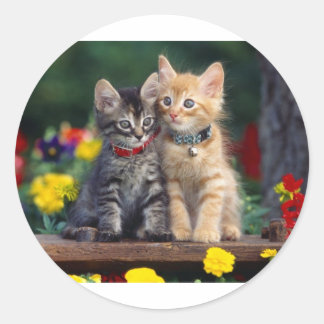 Adesivo Melhores Amigos