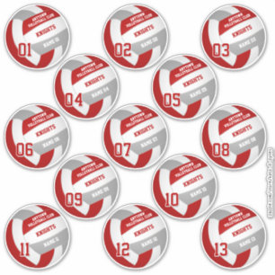 Adesivo membros da equipe de voleibol conjunto de 13 verme