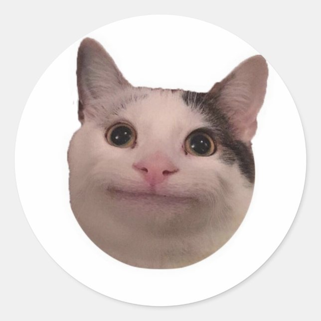 Adesivo meme de gato engraçado (Frente)