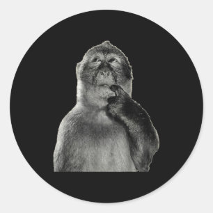 Adesivo Meme de Macaco Engraçado com Estilo de Arte de Hum