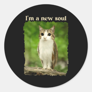 Adesivo Meme Engraçado do Gato Coruja, Meme do Gato Coruja