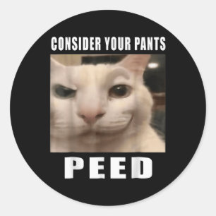 Adesivo Memes De Gato De Bobo Engraçados Por 919 Designs C