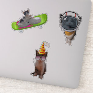 Adesivo Memes de Gatos Engraçados