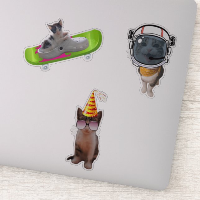 Adesivo Memes de Gatos Engraçados (Detalhe)