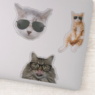 Adesivo Memes de Gatos Engraçados