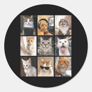 Adesivo Memes Engraçados Antigos Gato Fofo Homens Mulheres