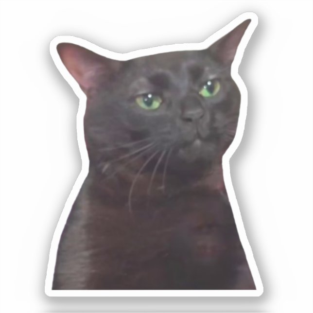 Adesivo Memória de Gato de Saída do Sticker (Frente)