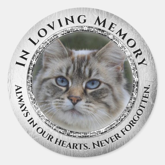 Adesivo Memory Cat / Pet Sticker (Frente)