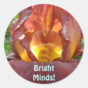 Adesivo Mentes Brilhantes! ímãs Flor Íris Glowing Alunos