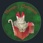 Adesivo Meow-y Christmas<br><div class="desc">Um gato bonitinho e divertido vestindo galhadas de renas e celebrando o "Natal de Meow-y". Excelente presente de Natal para amantes de gatos durante as férias.</div>