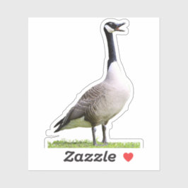 Adesivo Merda de Ganso do Canadá