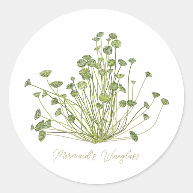 Adesivo Mermaids Wineglass & Acetabularia Sea-Inspired  (Frente)