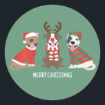 Adesivo Merry Christmas Pit Bull Cães<br><div class="desc">Ótima ilustração de três cães Dane fantásticos vestidos em trajes de Natal.</div>