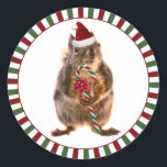 Adesivo Merry Christmas Squirrel Stickers<br><div class="desc">Viva a sua postagem e pacotes com este lindo esquilo de Natal vestindo um chapéu de Papai Noel e segurando uma cana doce com um grande arco vermelho. As cores tradicionais do Natal, de vermelho, verde e branco (como uma cana doce!), formam uma fronteira divertida ao redor da fotografia de...</div>