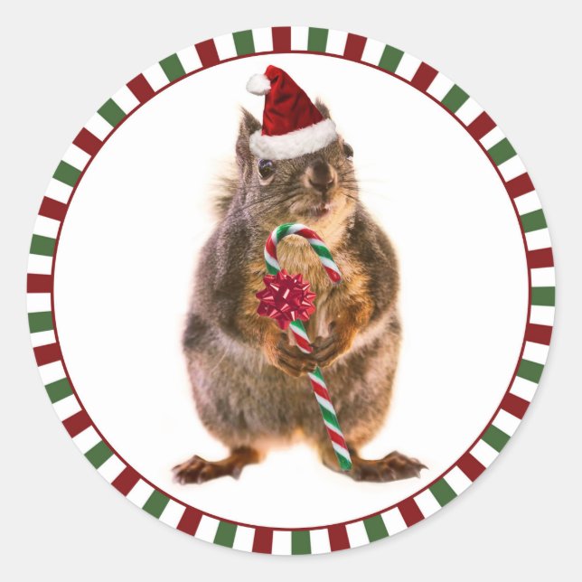 Adesivo Merry Christmas Squirrel Stickers (Frente)