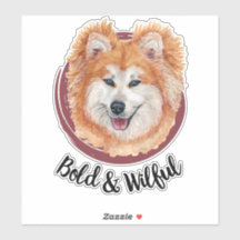 Meu Akita...Ousado & Teimoso