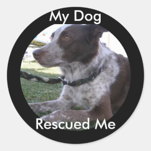 Adesivo Meu cão salvou-me (o costume)