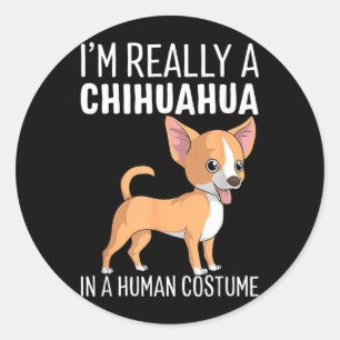 Adesivo Meu Disfarce de Humano Eu Sou um Cachorro Chihuahu