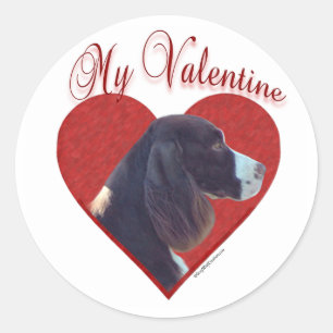 Adesivo Meu Namorados Inglês do Fígado Springer Spaniel