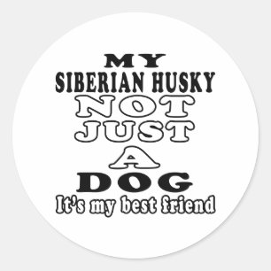 Adesivo Meu rouco Siberian não apenas um cão
