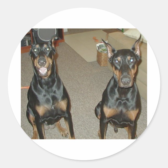 Adesivo Meus filhos (Frente)