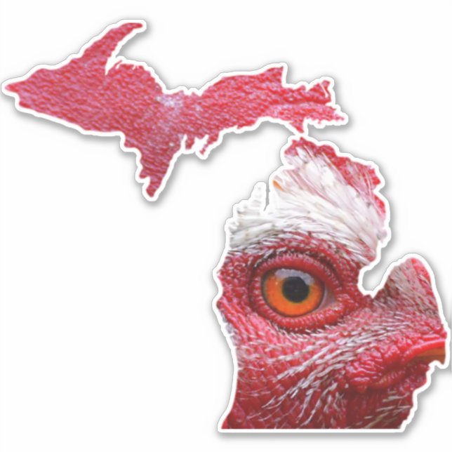 Adesivo Michigan Chicken Sticker (Frente)