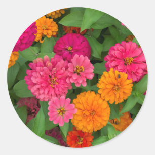 Adesivo Michigan, Dearborn, Greenfield Village. Close up