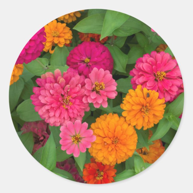 Adesivo Michigan, Dearborn, Greenfield Village. Close up (Frente)