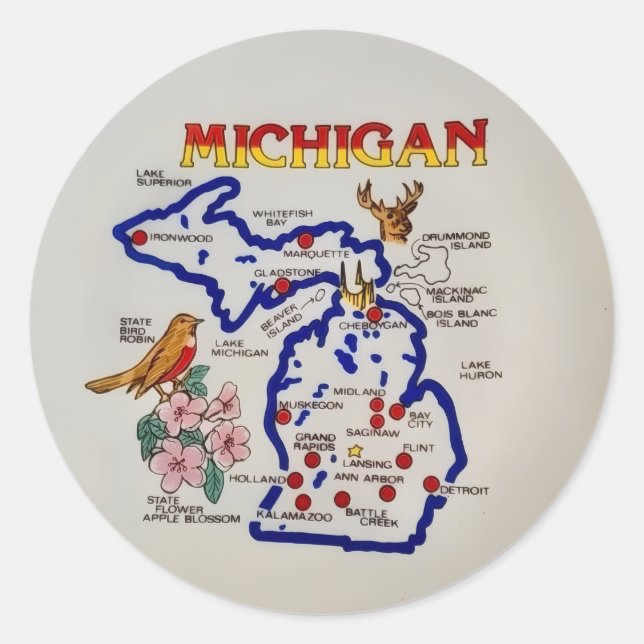 Adesivo Michigan State  (Frente)