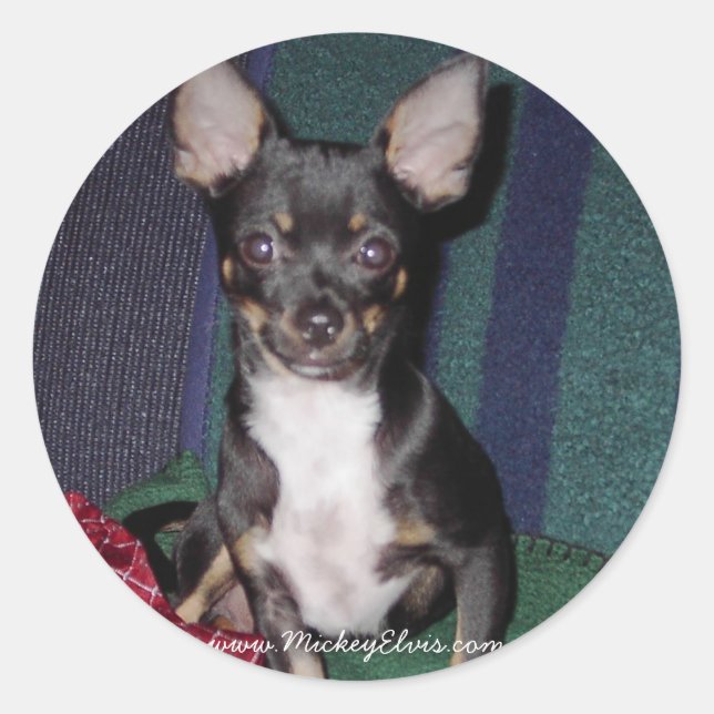 Adesivo MickeyElvis bonito e adaptável (Frente)