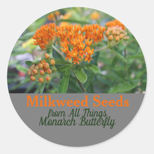 Adesivo Milkweed (Frente)