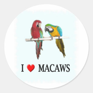 Adesivo Mim macaws do coração demasiado