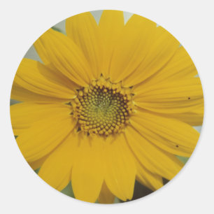 Adesivo Mini Girassol Amarelo - Pequeno Flor Girassol