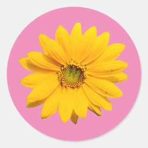 Adesivo Mini Girassol Amarelo - Pequeno Flor Girassol