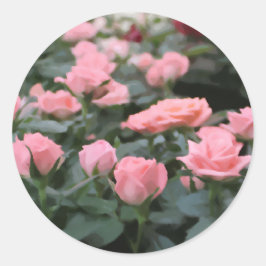 Adesivo Mini Rosas Rosa Pintura Digital Flor