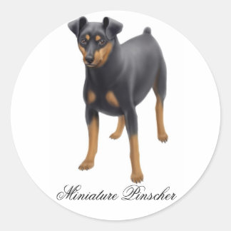 Adesivo Miniatura Pinscher