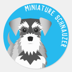 Adesivo Miniatura Schnauzer - Cão de Cartoon