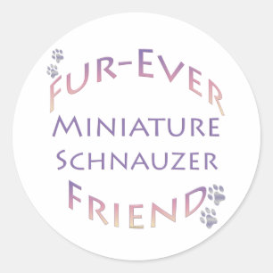 Adesivo Miniatura Schnauzer Fuore