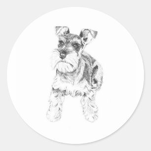 Adesivo Miniatura Schnauzer Sticker