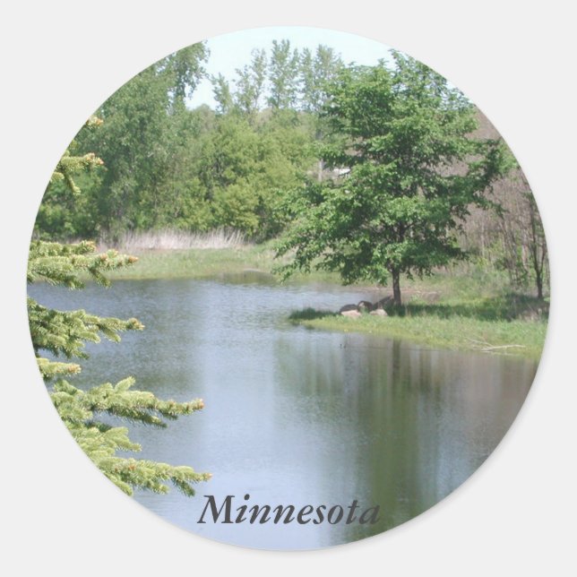 Adesivo Minnesota (Frente)