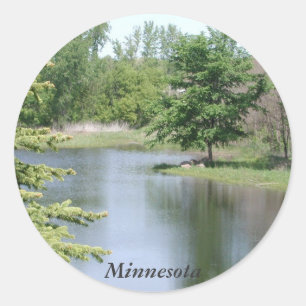 Adesivo Minnesota