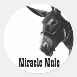 Adesivo Miracle Mule Stickers