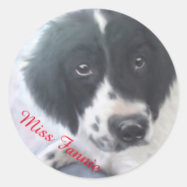 Adesivo Miss Fannie - Inglês Springer Spaniel Sticker