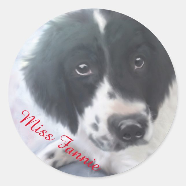 Adesivo Miss Fannie - Inglês Springer Spaniel Sticker (Frente)