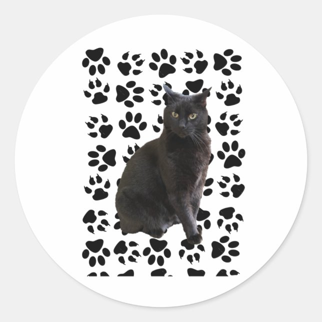 Adesivo Mister 4 Sticker (Frente)
