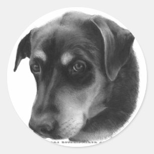 Adesivo Mistura do Rottweiler-Laboratório