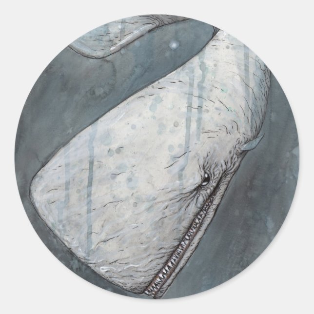 Adesivo Moby Dick (Frente)